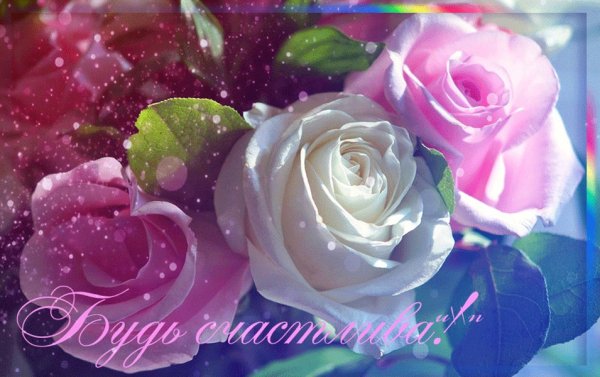 Цветы для красавицы