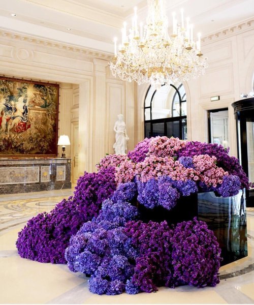 Роскошные цветы