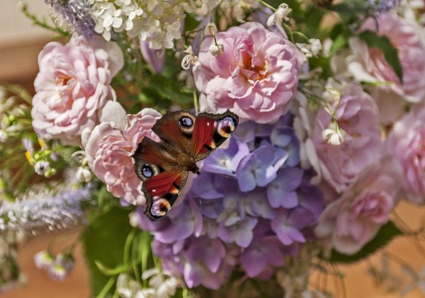 Красивый букет с бабочками