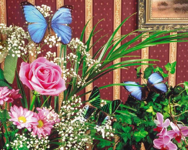 Красивый букет цветов с бабочками
