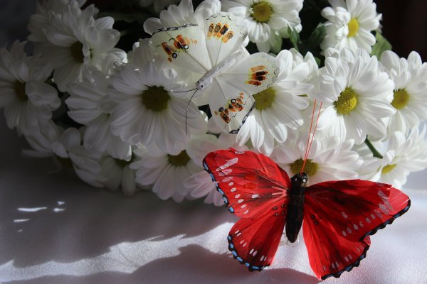 Живые букеты