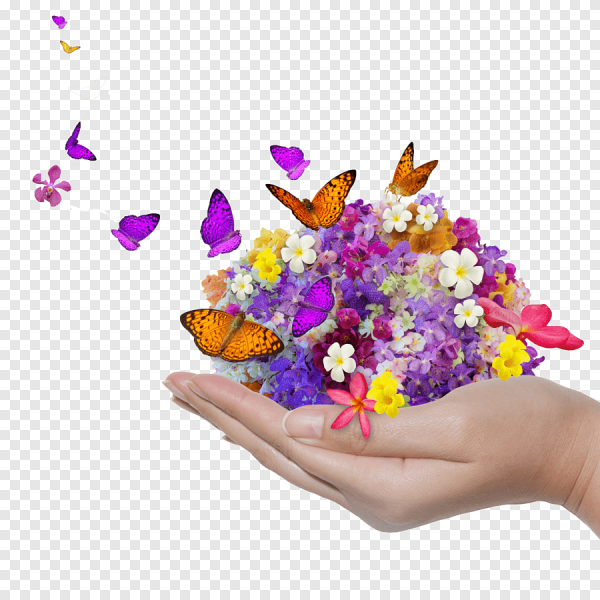 Букет роз с бабочкой