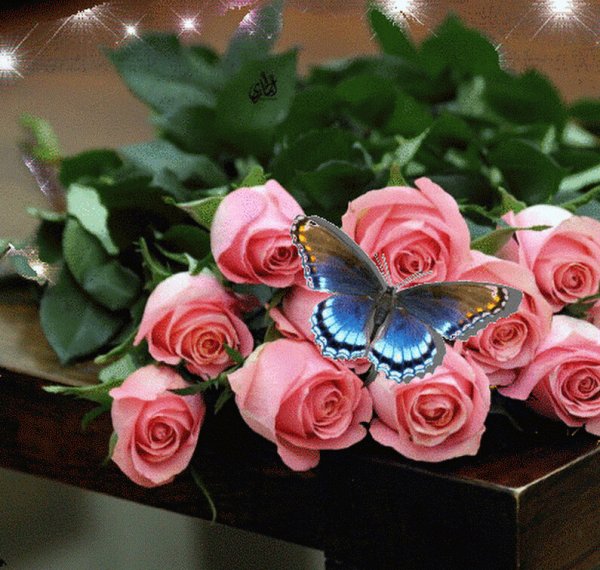 Красочные цветы и бабочки