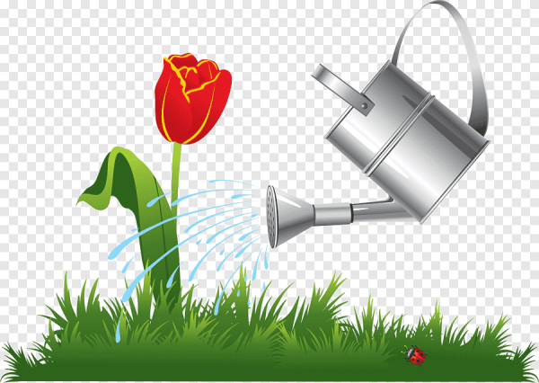 Лейка с водой