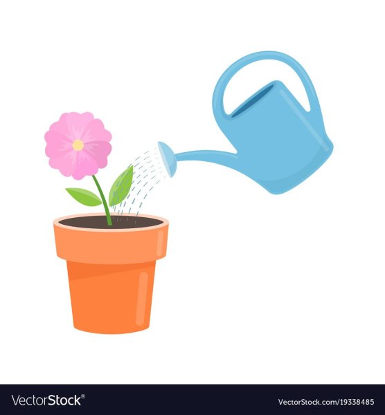 Полив растений для детей