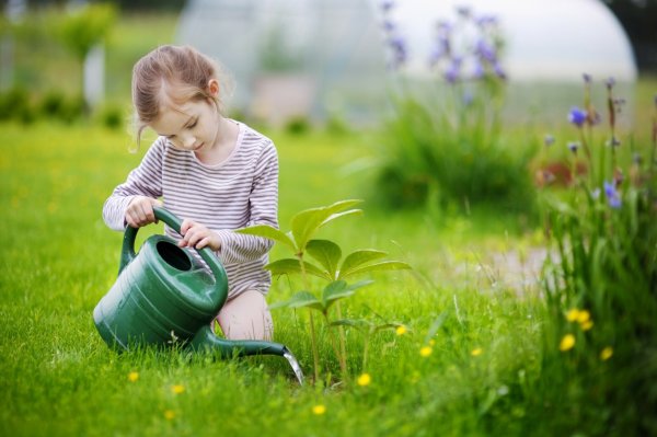 Лейка с водой для детей