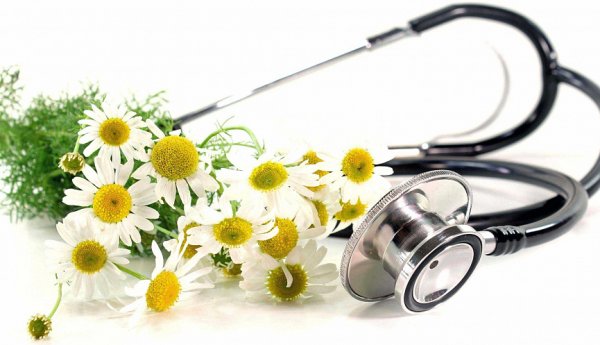 Цветы врачу