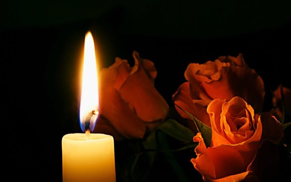 Светлая память