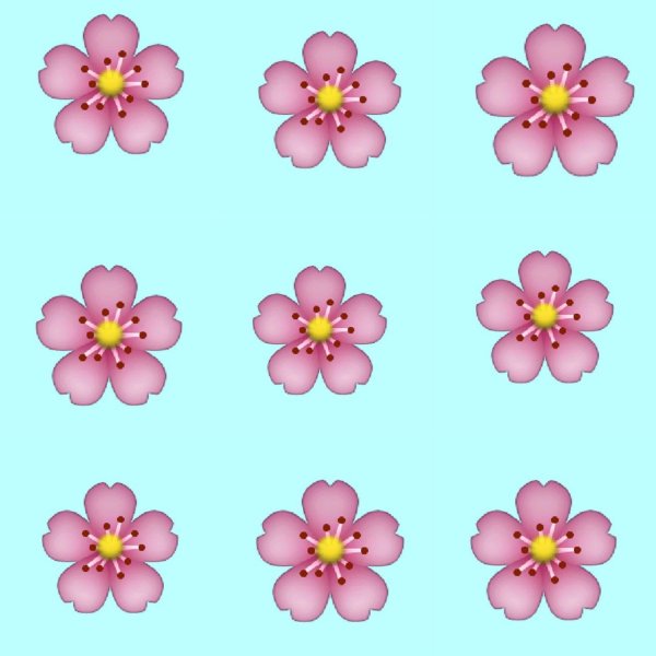 Бабочки на белом фоне