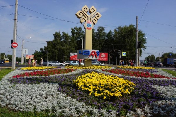 Сон трава красная