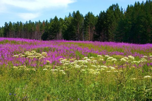 Оз. Сюткюль Чувашия