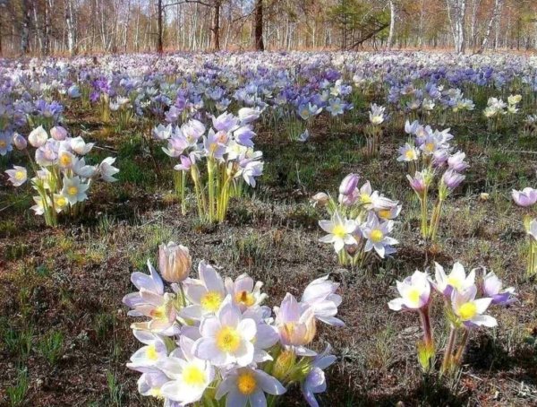 Просторы Чувашский край