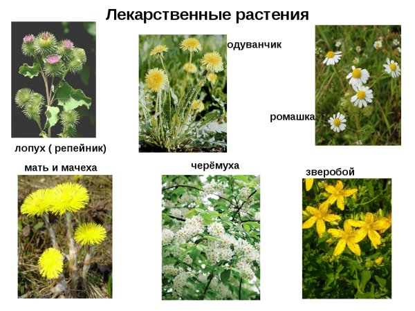 Горная Шория Кузнецкий Алатау