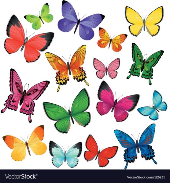 Бабочки для вырезания цветные