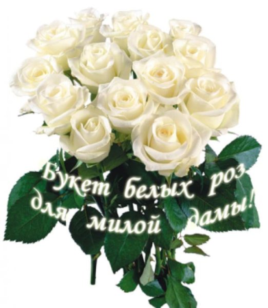 Белые розы для самой красивой