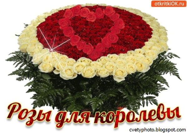 Шикарные розы для тебя