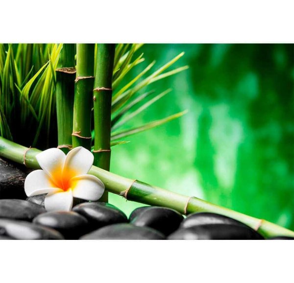 Бамбук в воде