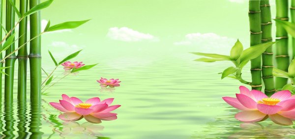 Лотос фон