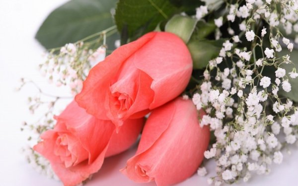 Цветы для женщины