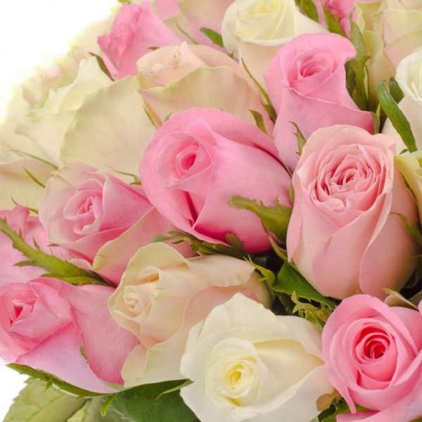 Поздравления с днём рождения сестре