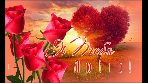 Букет шикарный