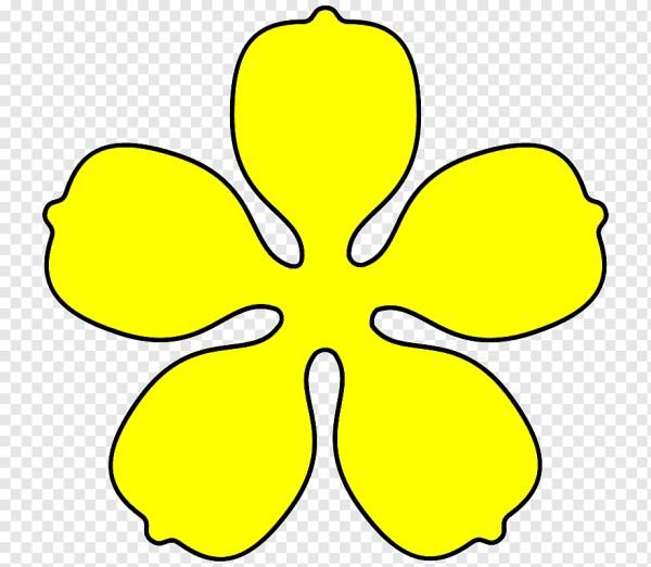 Форма цветка