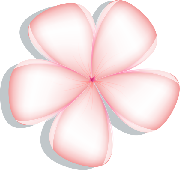 Сирень пятилистник