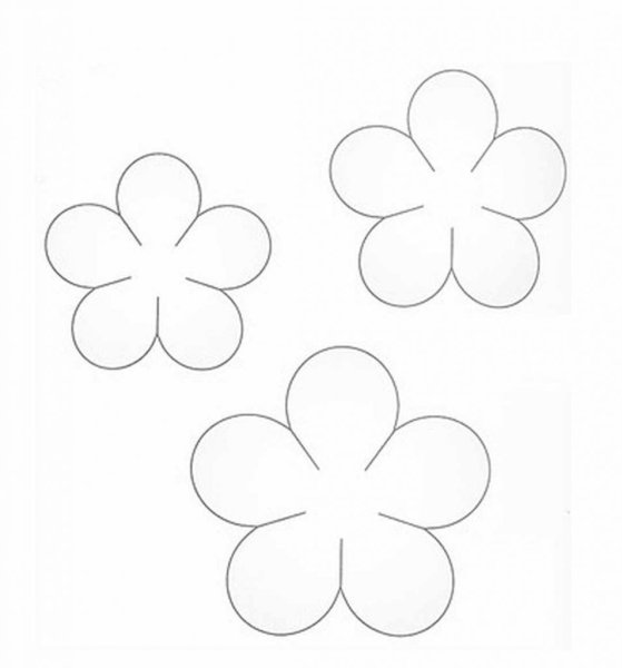 Пятилистный цветок сирени