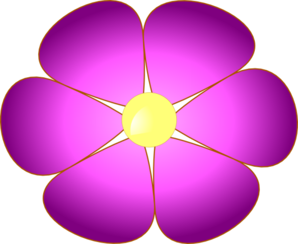 Сирень пятилистная пятилистная