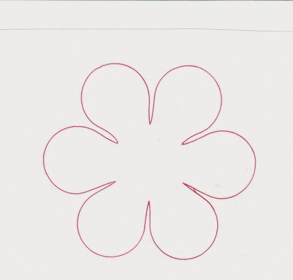 Барвинок розовый катарантус