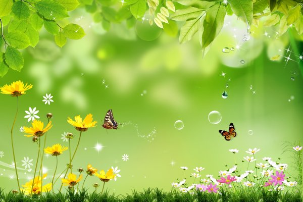 Зеленая Поляна с бабочками