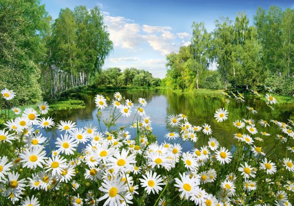 Весенний фон