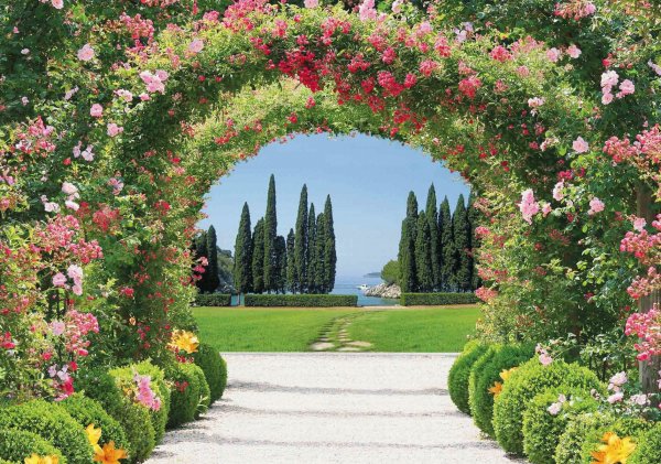 Поляна с цветами и бабочками