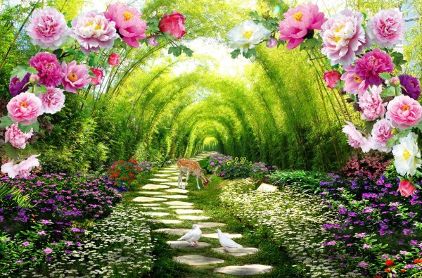 Разноцветное лето