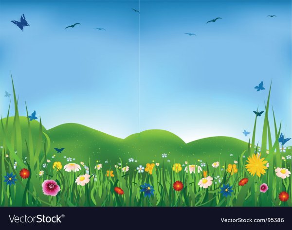 Фон Луга для детей дошкольного возраста