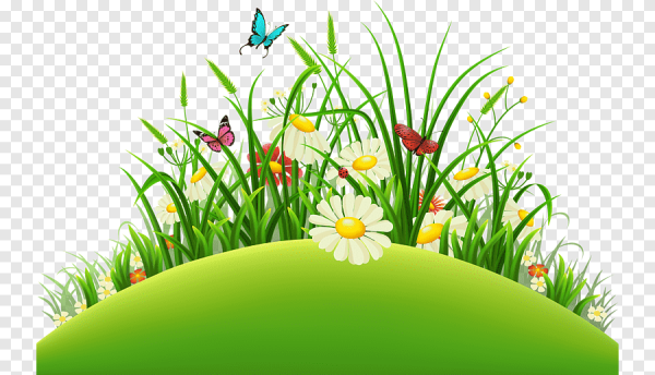 Лужок с цветами картинка для детей