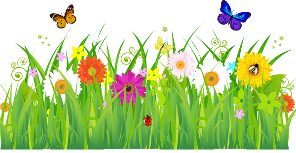 Цветочная Поляна картинки для детей