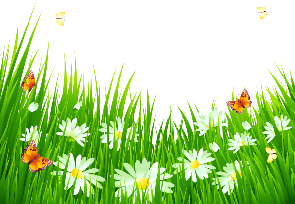 Лужайка с цветами для детей