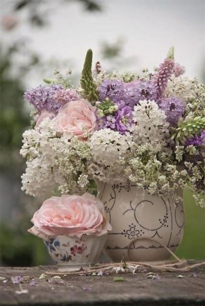 Нежность природа