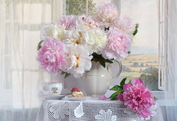 Диантус нежно розовый