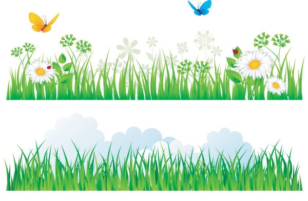 Растения на прозрачном фоне