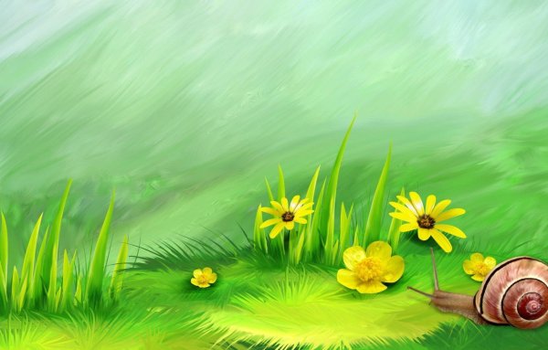 Бабочки цветочки на прозрачном фоне