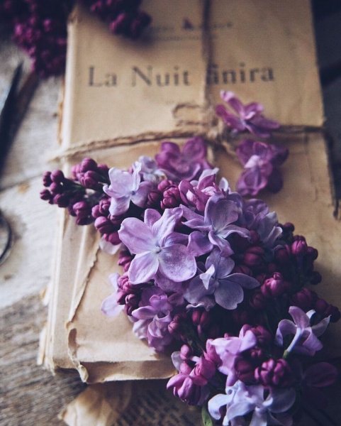 Эстетика природы