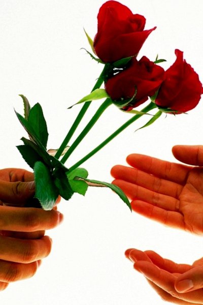 Мальчик дарит девочке цветы