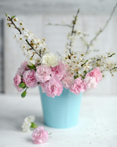 Лавандовый цвет