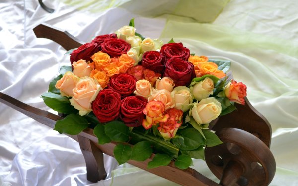 Мужчина дарит ромашки