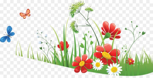 Поляна цветов на прозрачном фоне