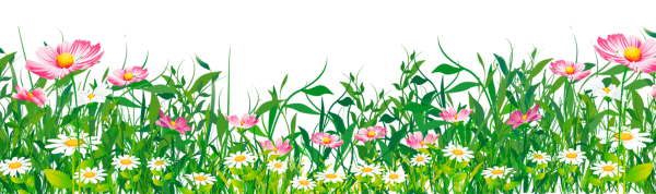 Луг с цветами