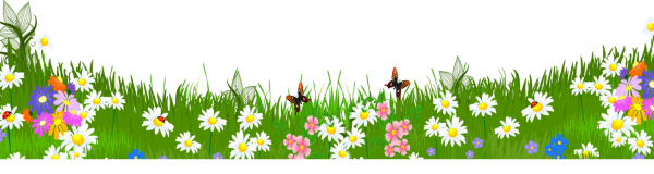 Лужайка с цветами и пчелами