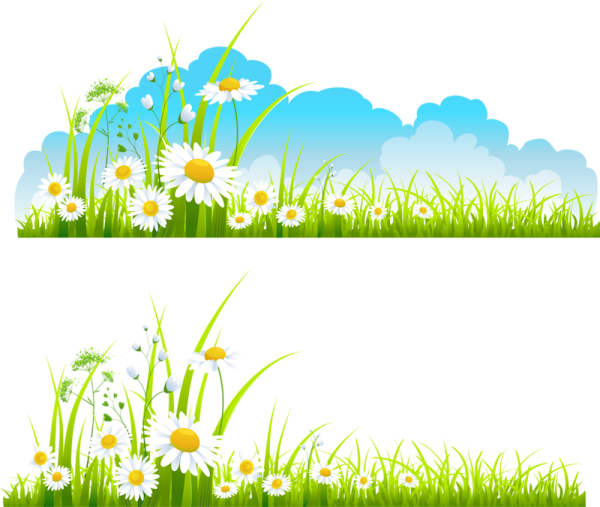 Травка с цветочками